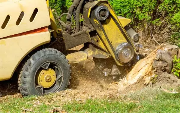 Machinery grinding away a tree stump.