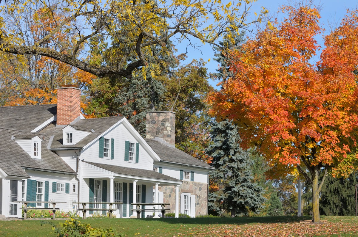 How trees increase your property value