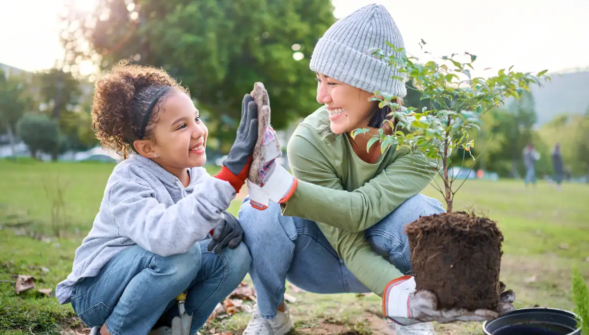 How to make the proper tree selection in Toronto