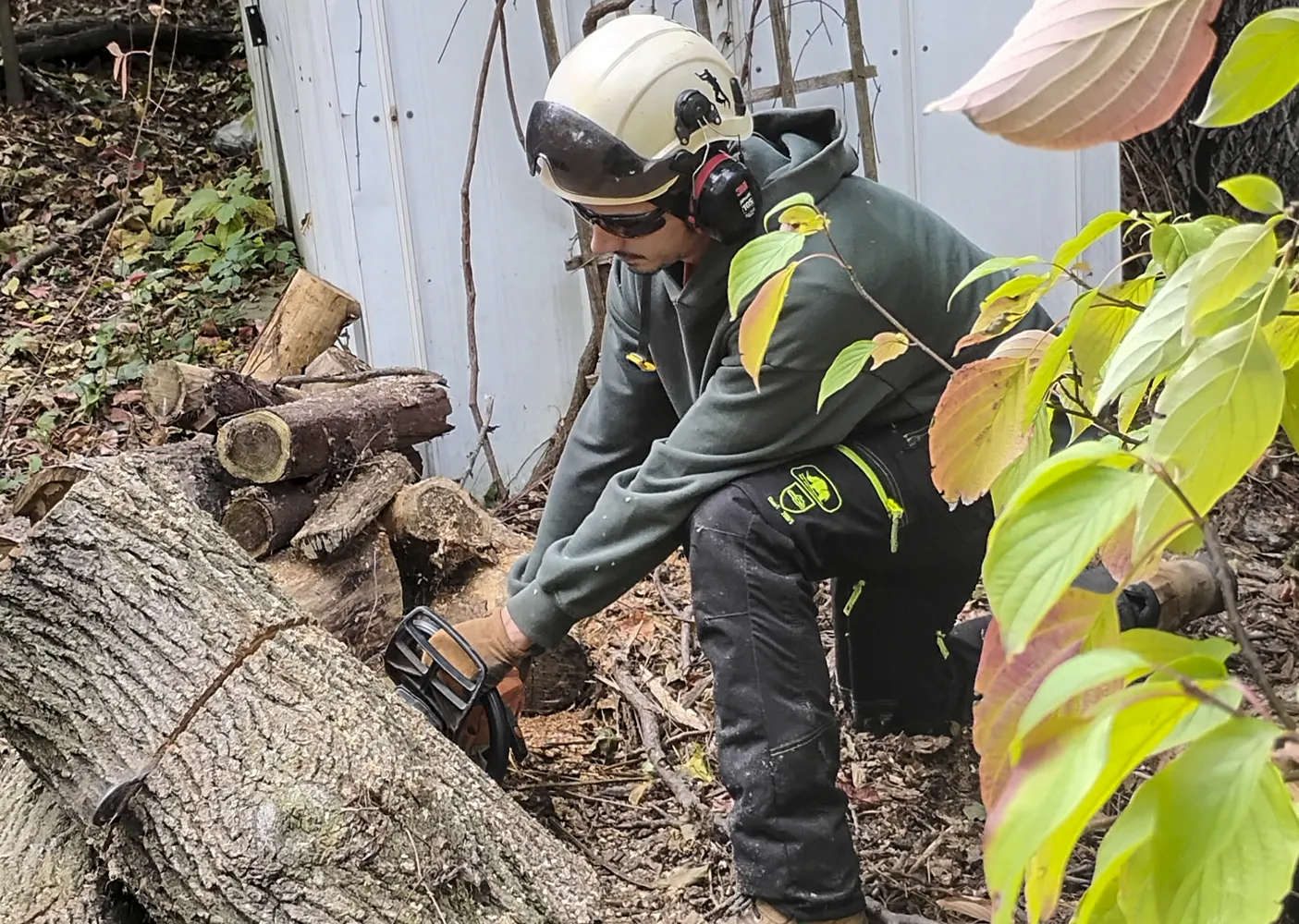 J&C Tree services with a chainsaw cutting up a tree trunk