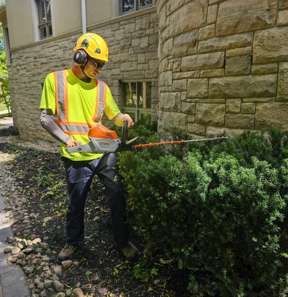 Trimming hedge at the side of home