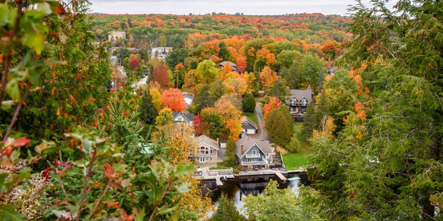 Care for trees in autumn in Ontario