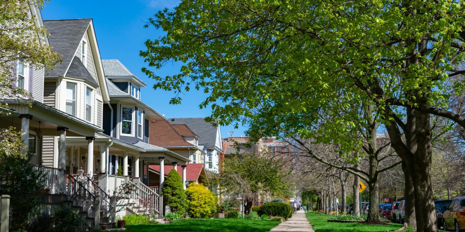 Importance of care for urban trees