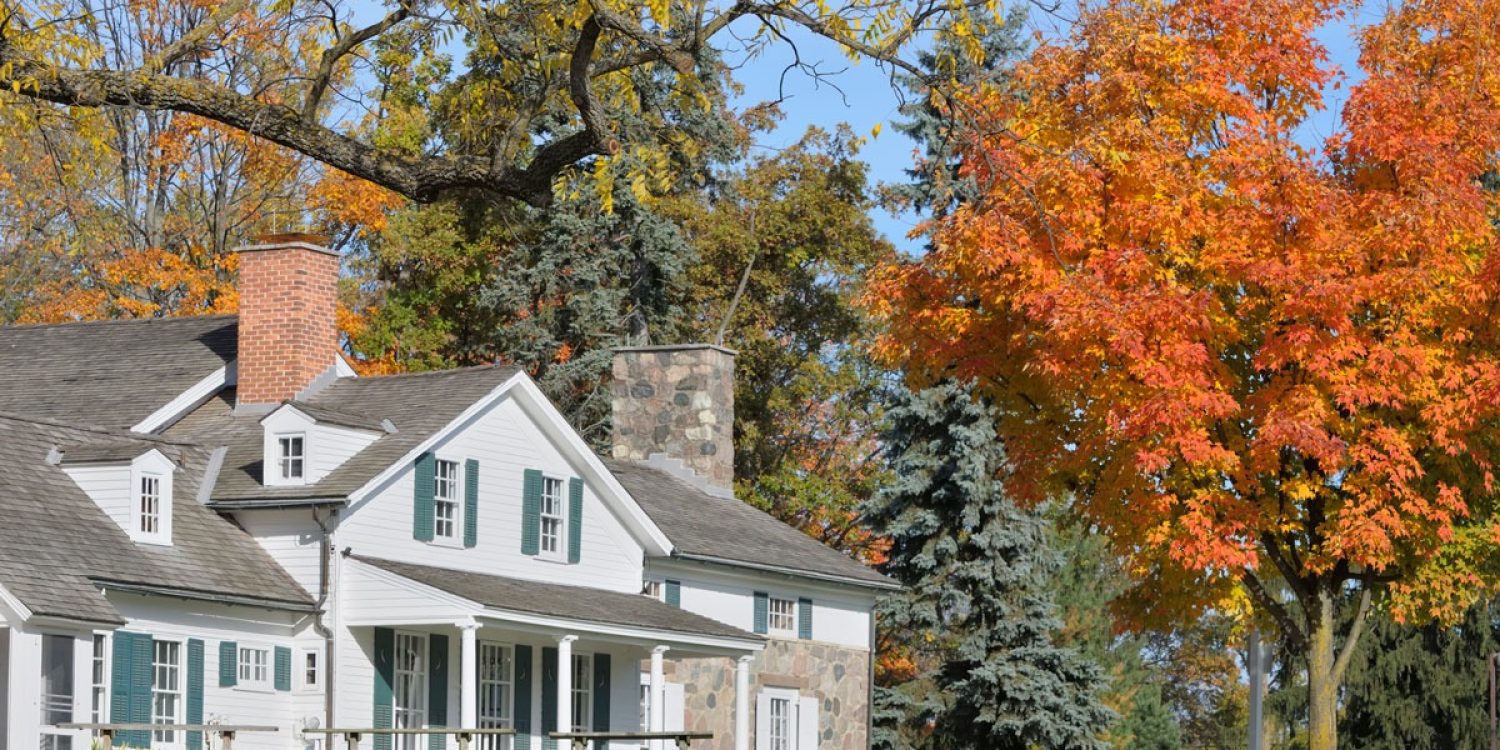 How trees increase your property value